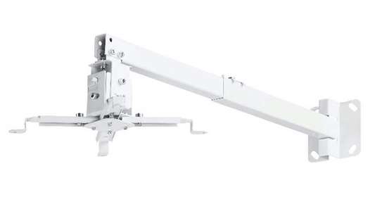 CEILING MOUNT PM 100180